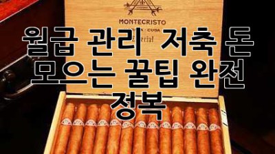 월급 관리 & 저축, 돈 모으는 꿀팁 완전 정복!