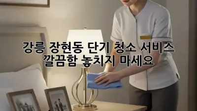강릉 장현동 단기 청소 서비스 ✨ 깔끔함, 놓치지 마세요! 🧹