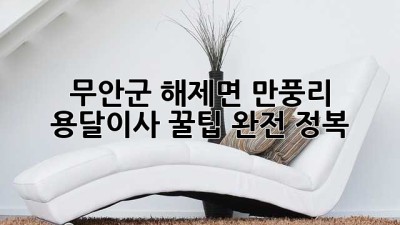 무안군 해제면 만풍리 용달이사, 꿀팁 완전 정복!